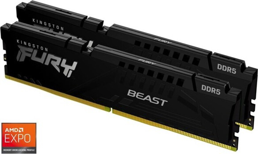 FURY Beast DDR5-5200 C36 DC - 16GB (AMD EXPO)