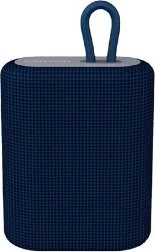 BSP-4 - speaker - for portable use - wireless