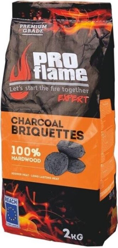 Brikette Trekull Proflame 2Kg