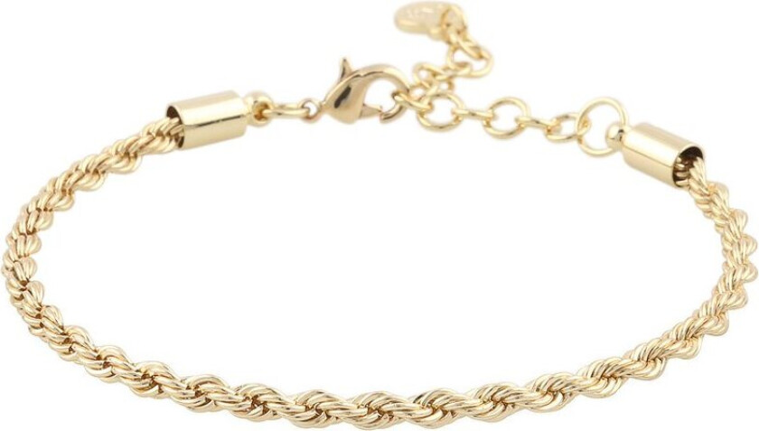 Snö Of Sweden Exibit Brace Plain Gold 16cm
