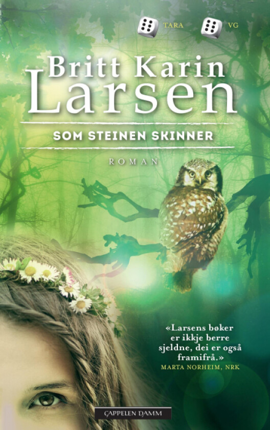 Som steinen skinner av Britt Karin Larsen