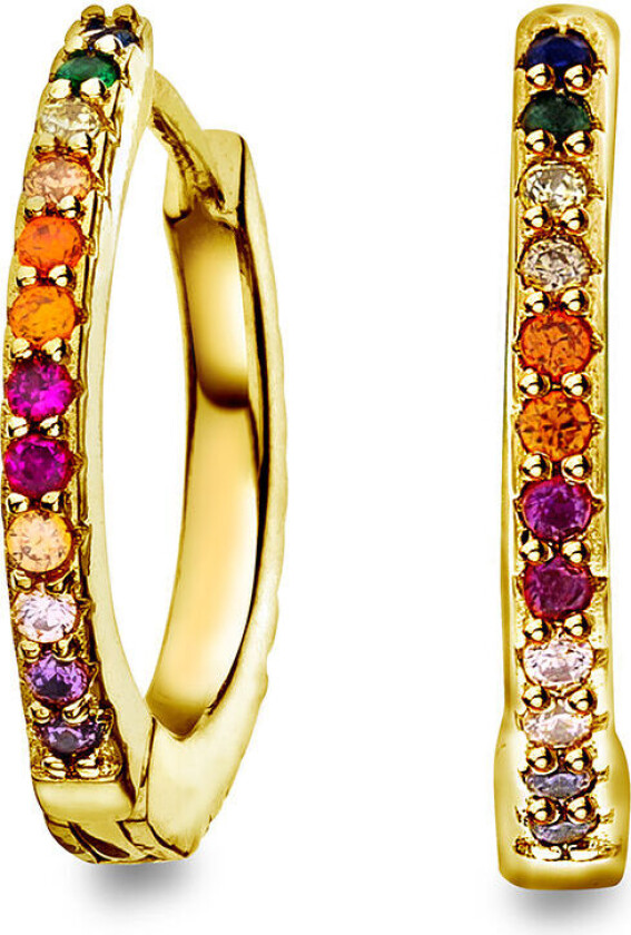 , Øreringer i 925 forgylt sølv med zirkonia