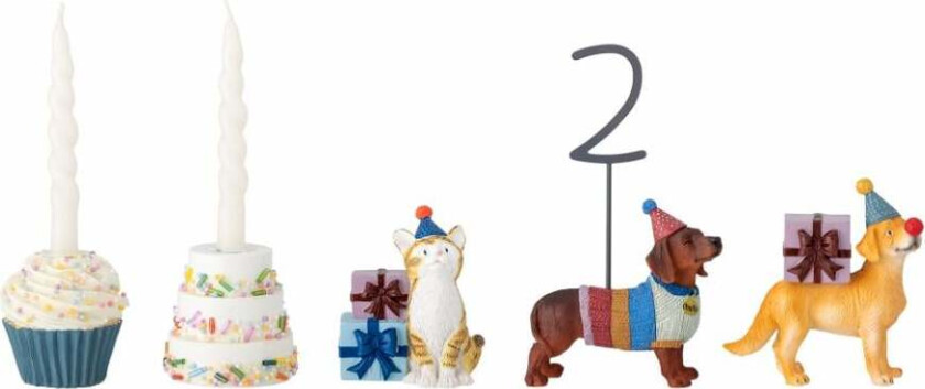 Salve bursdagsdekorasjon 15 deler Multi