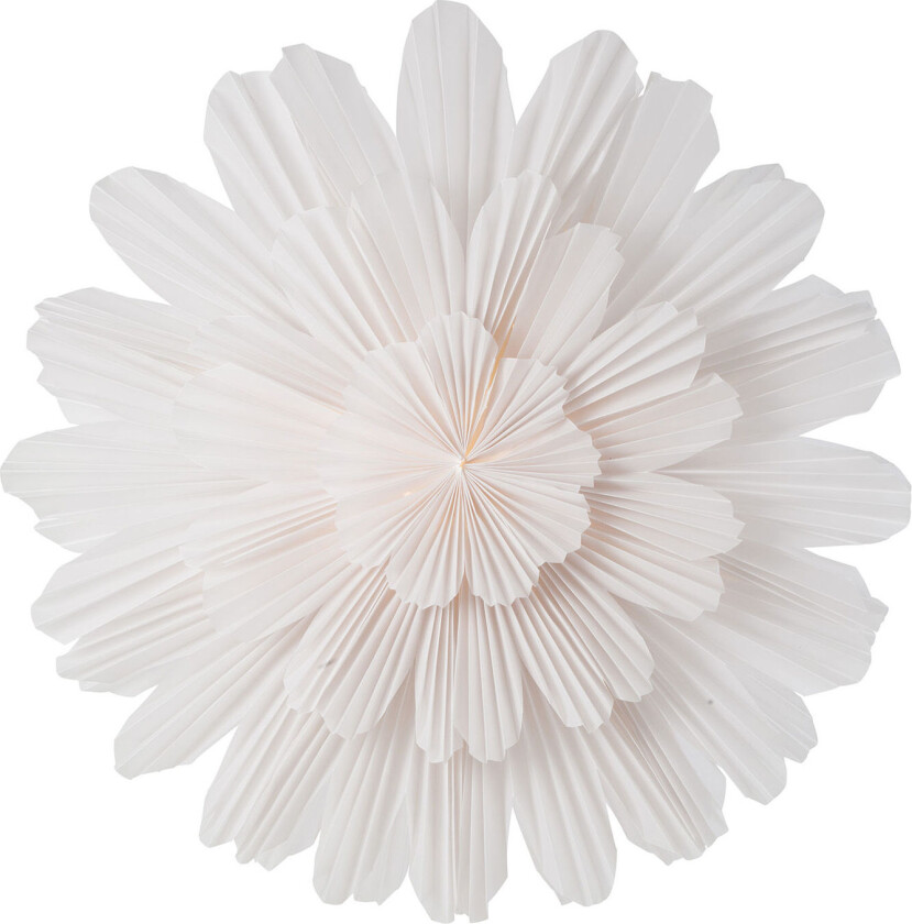 Snöblomma White / 68