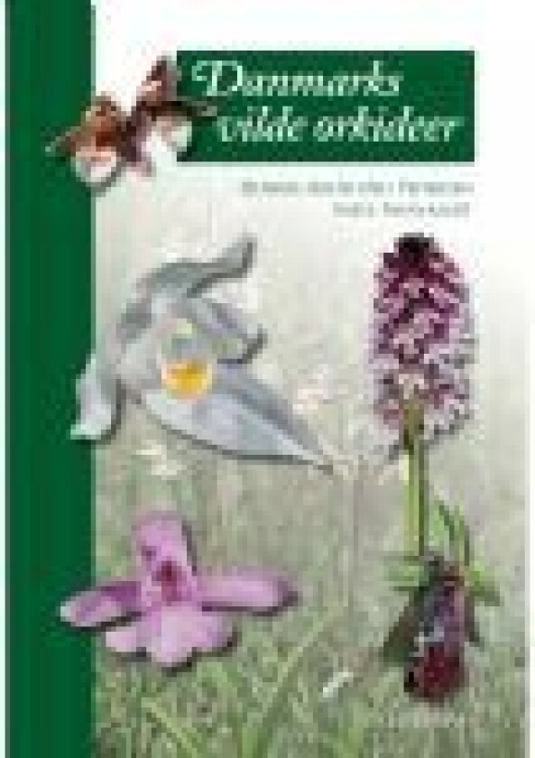 Danmarks vilde orkideer Niels Faurholdt Henrik Ærenlund Pedersen Språk: Dansk