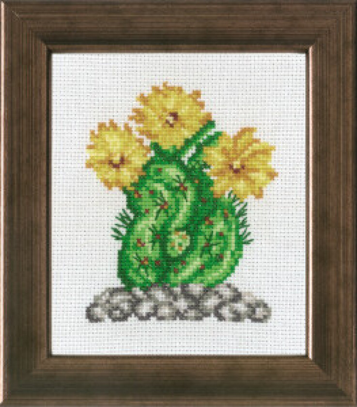 Broderisett Aida Kaktus Gul 10x12cm