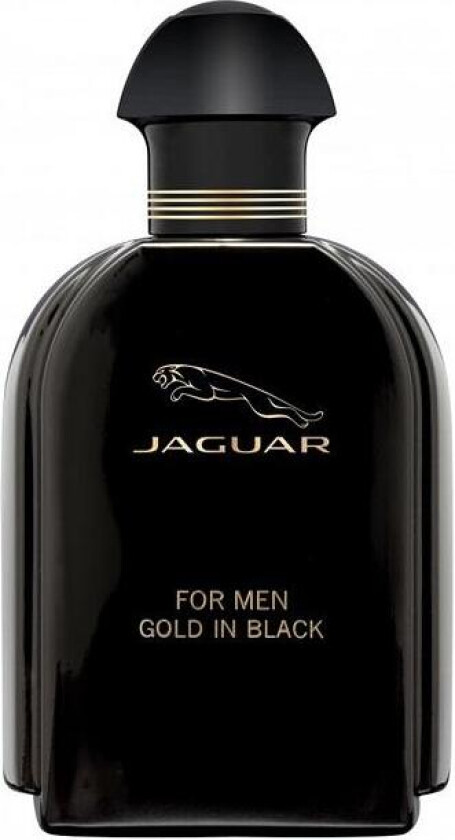 Classic Gold In Black Edt 100ml