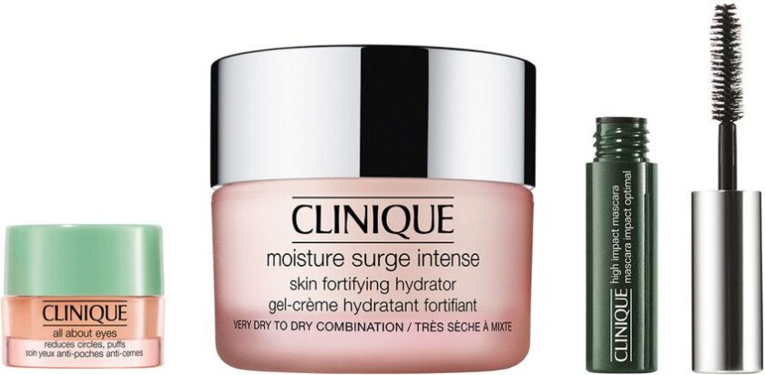 Moisture Surge Intense Starter Set II
