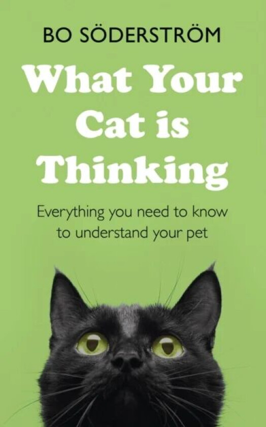 What Your Cat Is Thinking av Bo Soederstroem