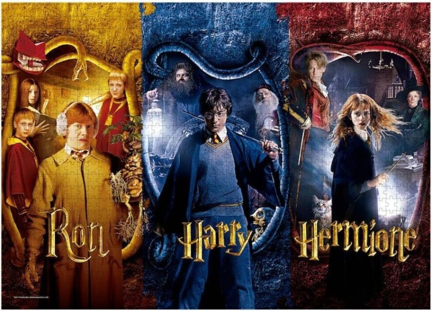 Harry Potter - Puzzle 50 pieces - Harry Potter and the Chamber of Secrets