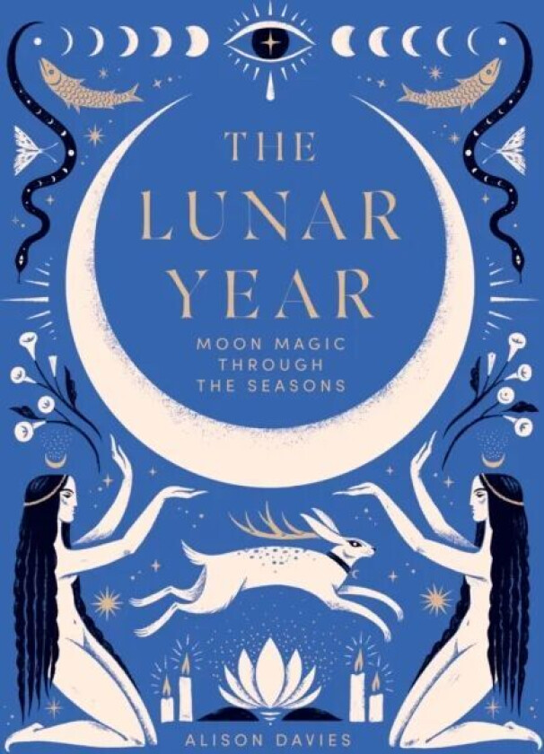 The Lunar Year av Alison Davies