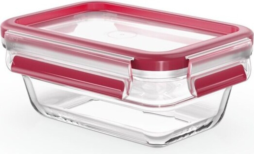 MasterSeal Glass Rectangular 450ml