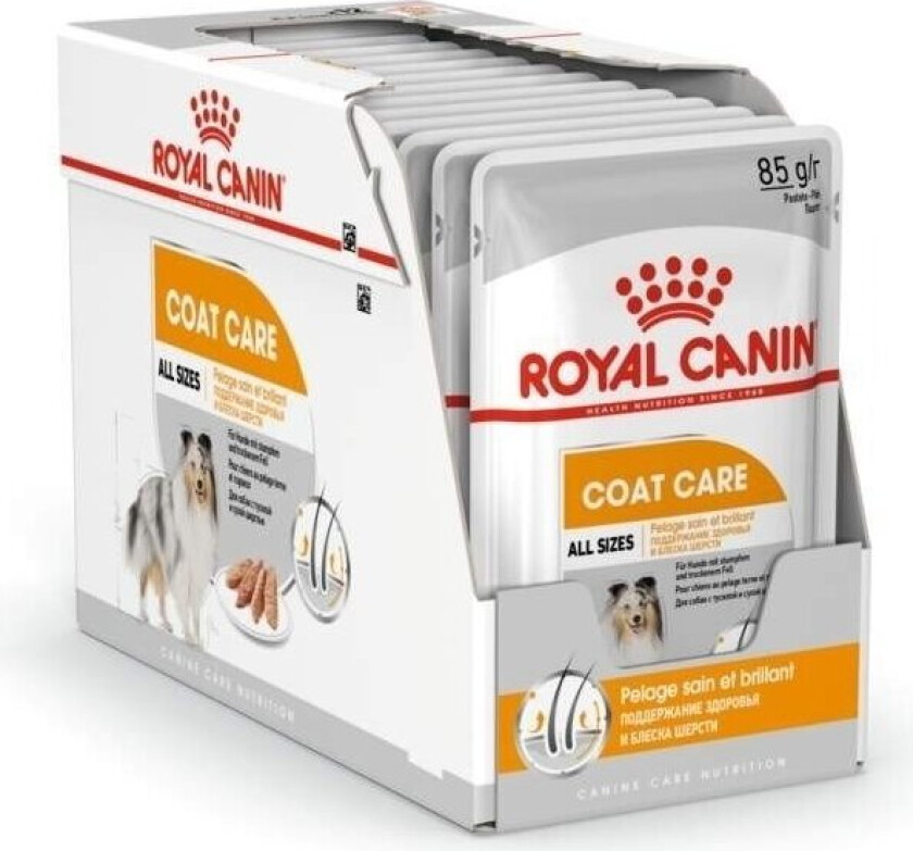 Royal Canin Coat Care Adult Wet