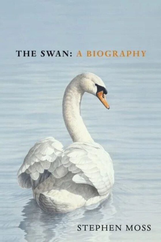 The Swan av Stephen Moss
