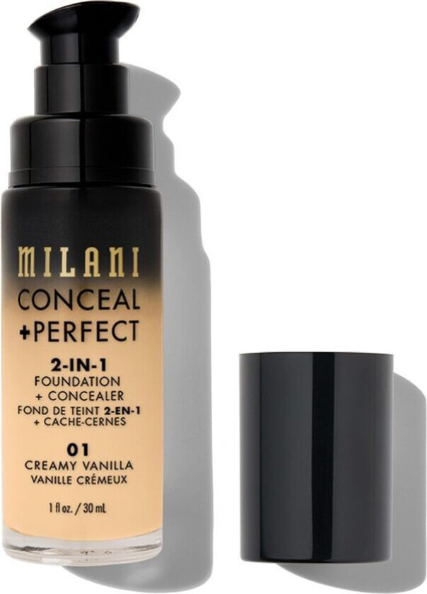 Conceal + Perfect 2 In 1 Foundation + Concealer