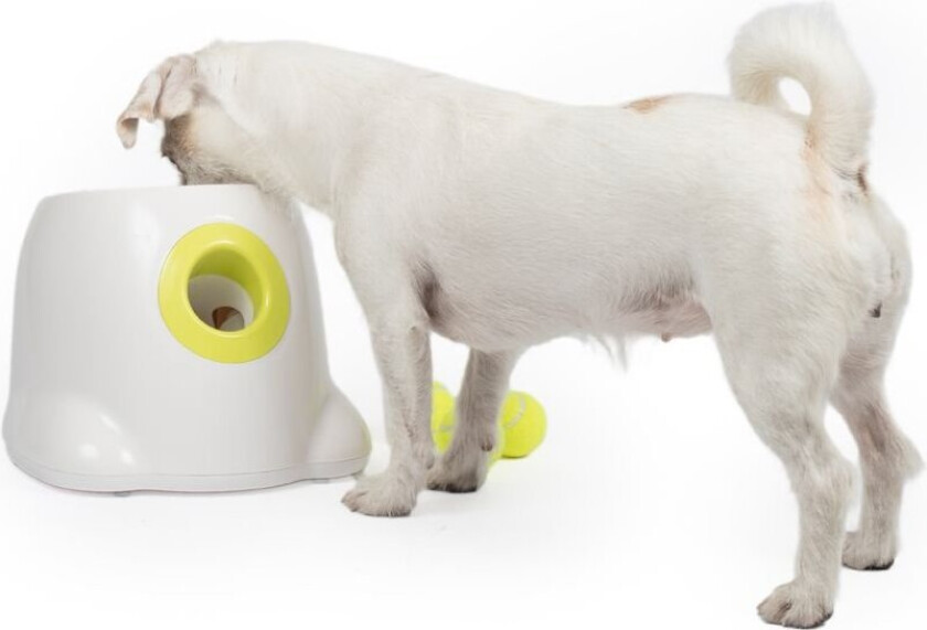 Bilde av All For Paws HyperFetch Ballkaster Mini
