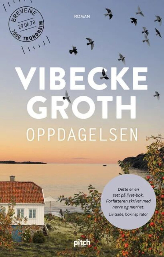 Oppdagelsen av Vibecke Groth