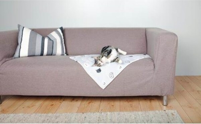 Mimi Katteteppe 70 x 50 cm