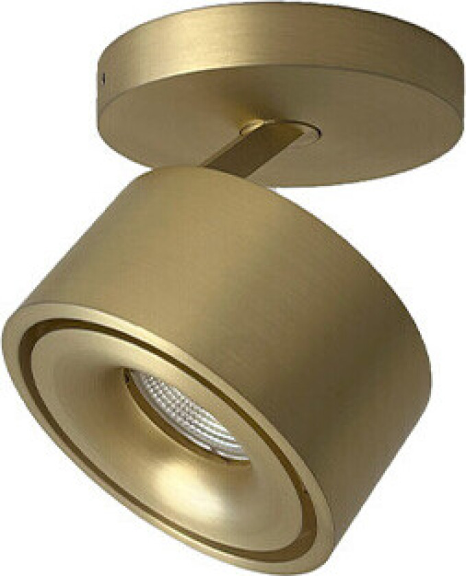 - Easy Braccio W100 LED Spott Brass