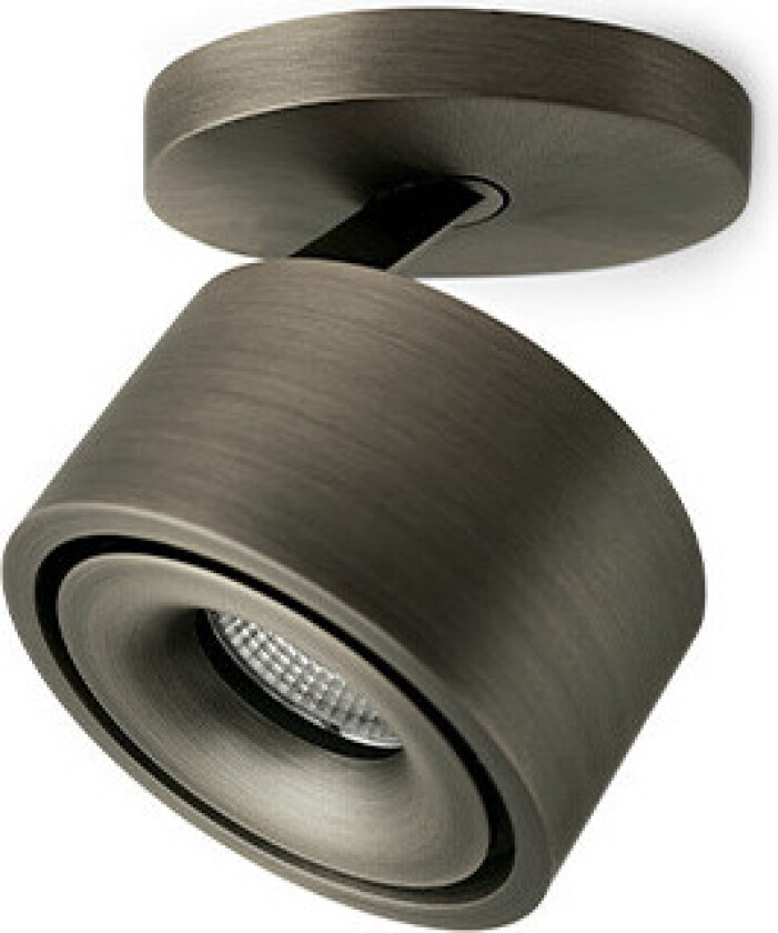 - Easy Braccio W100 LED Spott Titanium