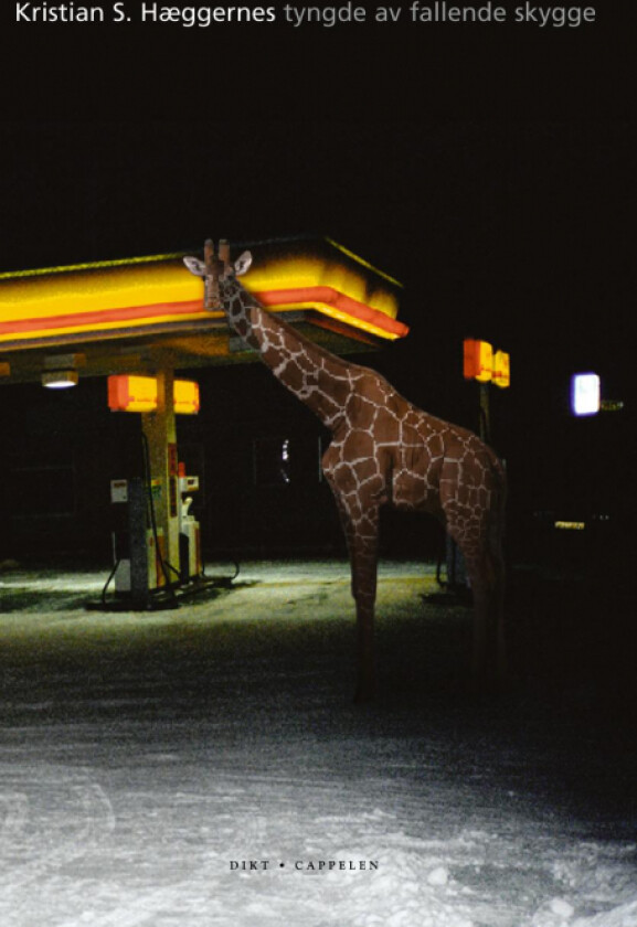 Tyngde av fallende skygge av Kristian S. Hæggernes
