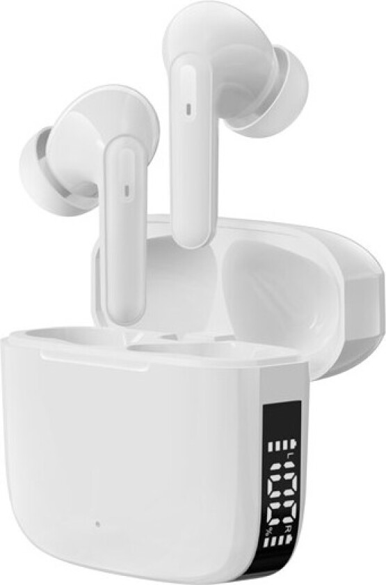 TWE-61W