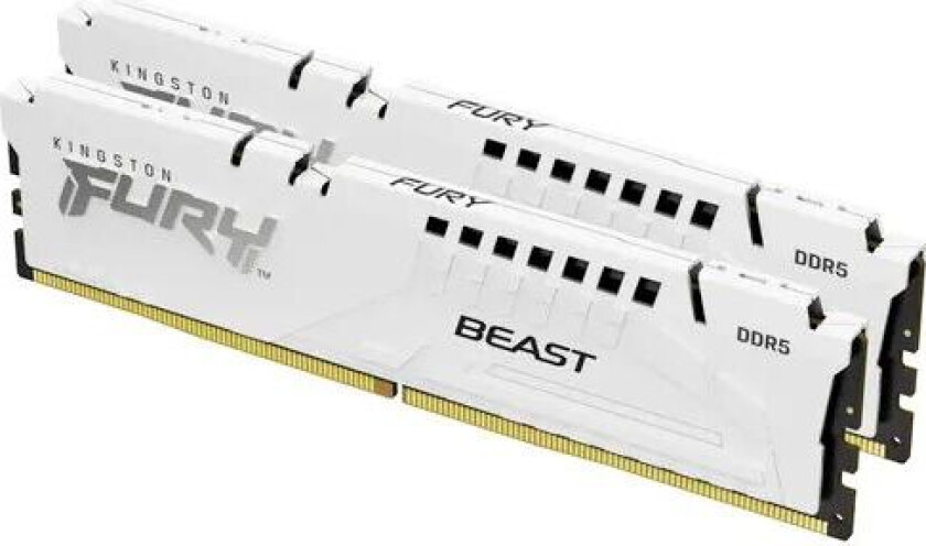 FURY Beast DDR5-6000 C40 DC - 32GB