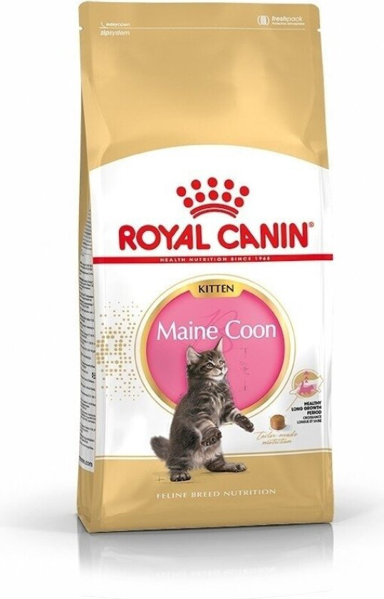 Royal Canin Maine Coon Kitten (2 kg)