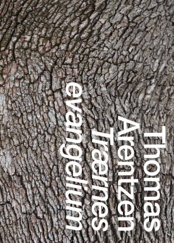 Trærnes Evangelium Av Thomas Arentzen