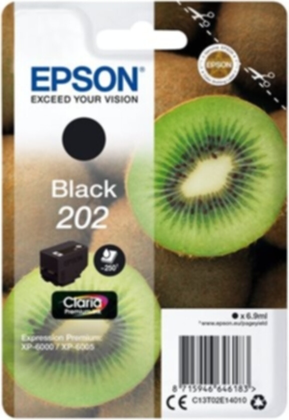 T202 Black