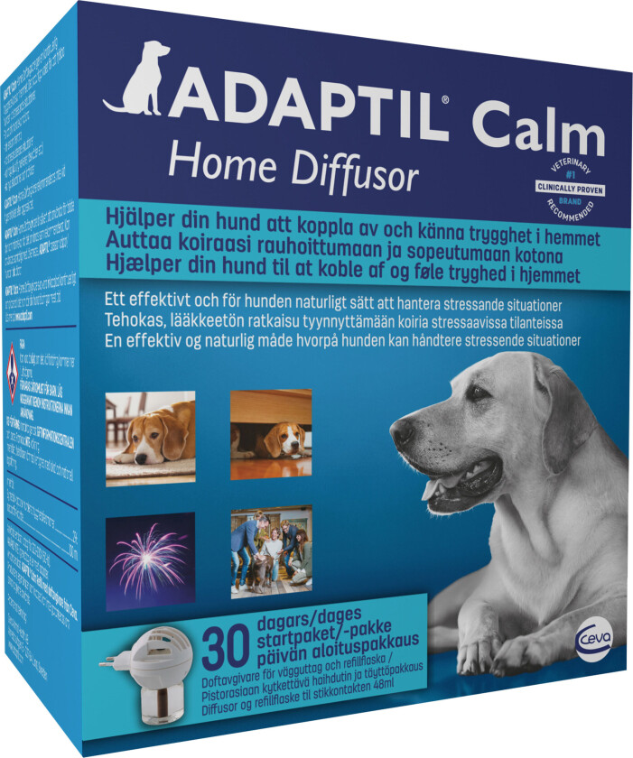 Calm Diffusor Startkitt