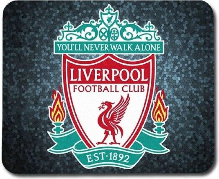 Liverpool Musematte