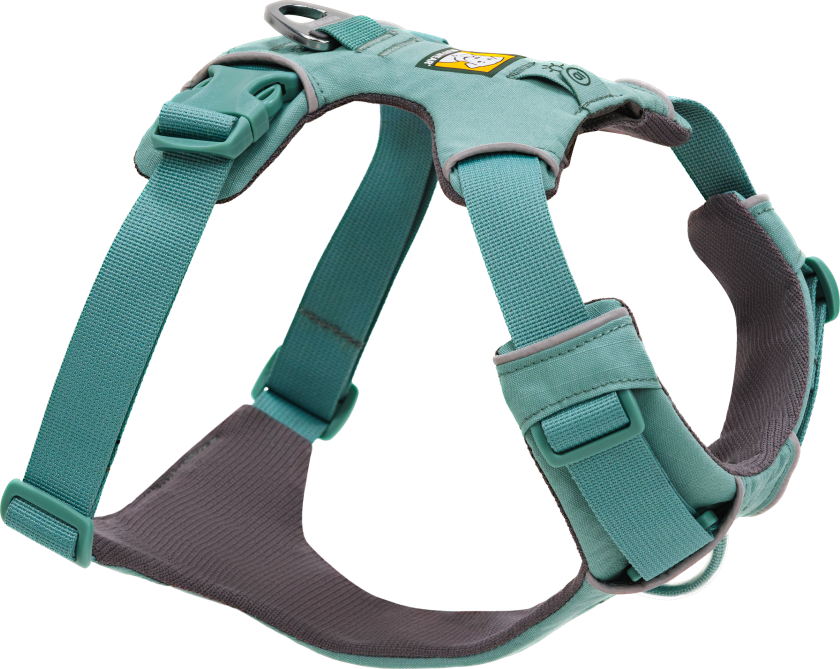 Front Range® Harness 56-69 cm, River Rock Green