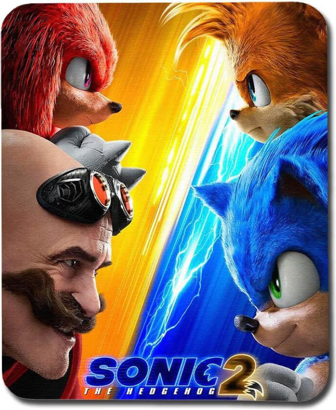 Sonic the Hedgehog 2 Musematte