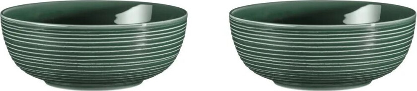 Terra skål Ø 20,4 cm 2-pakning Moss Green