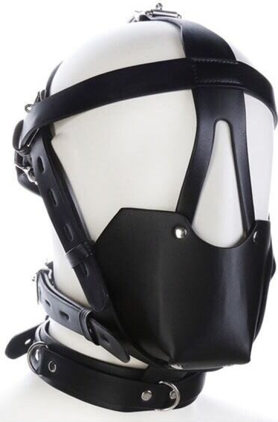 SM Harness Head Muzzle Black