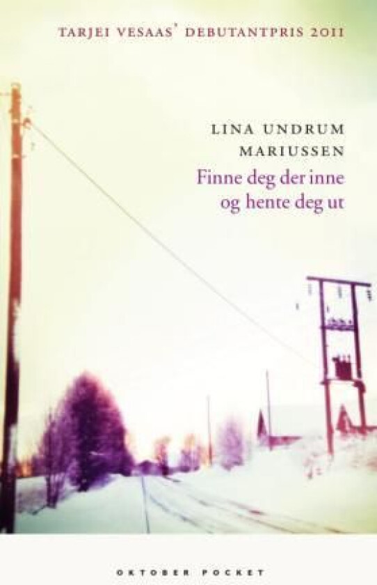 Finne deg der inne og hente deg ut av Lina Undrum Mariussen
