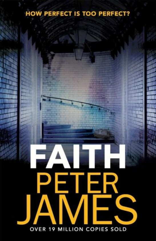 Faith av Peter James