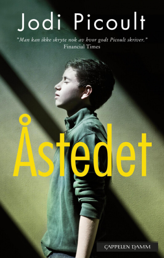 Åstedet av Jodi Picoult