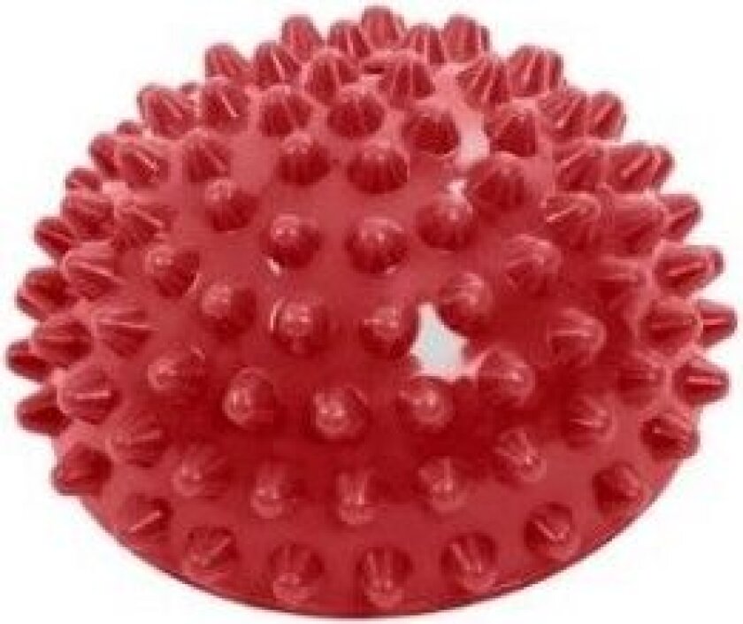 Physio Tactile Podo Balance Balansepute Styrketrening Fysioterapi Hund