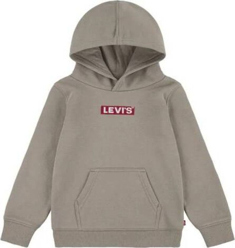 Bilde av Levi`s - Hettegenser Lvn Boxtab Rusty Aluminum