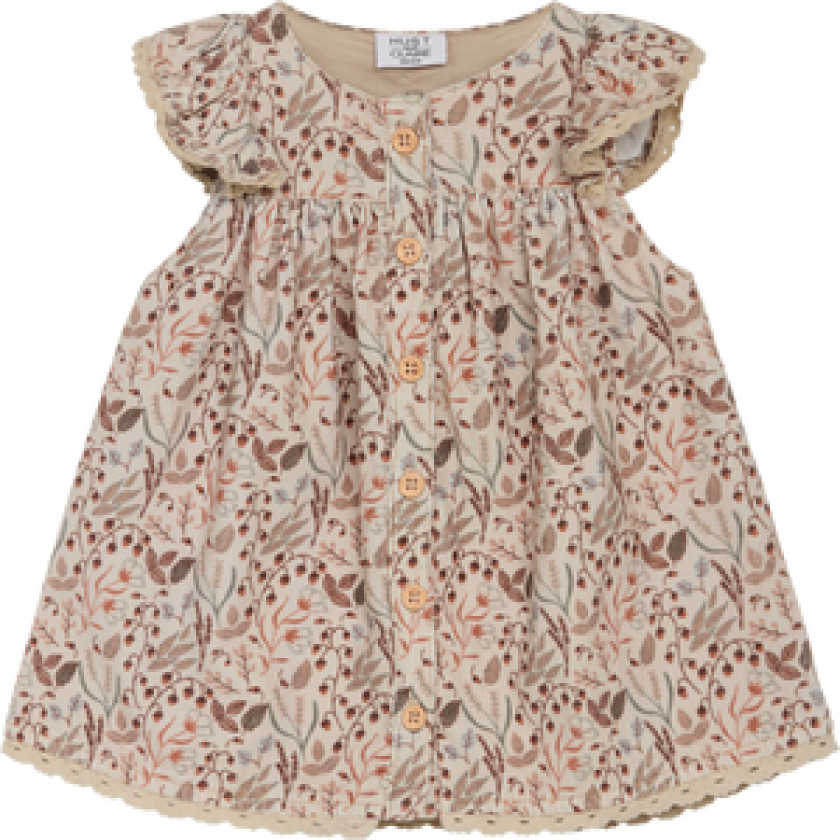 Domenic Kjole Cement