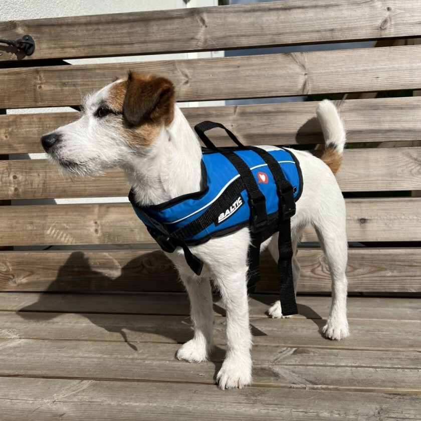Baltic Vetzoo Flytevest til Hund Blå (XS)
