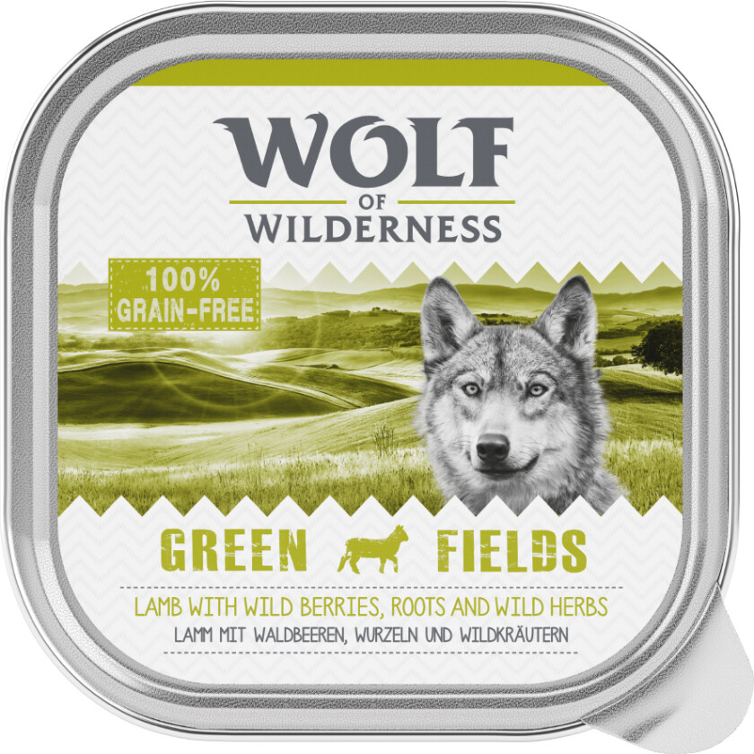 Økonomipakke Wolf of Wilderness Adult 24 x 300 g - Green Fields - Lam