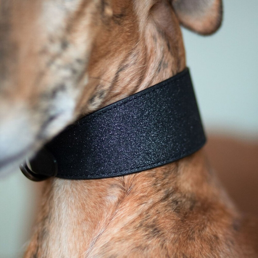 Bredt Hundehalsbånd Glitter Svart (L)