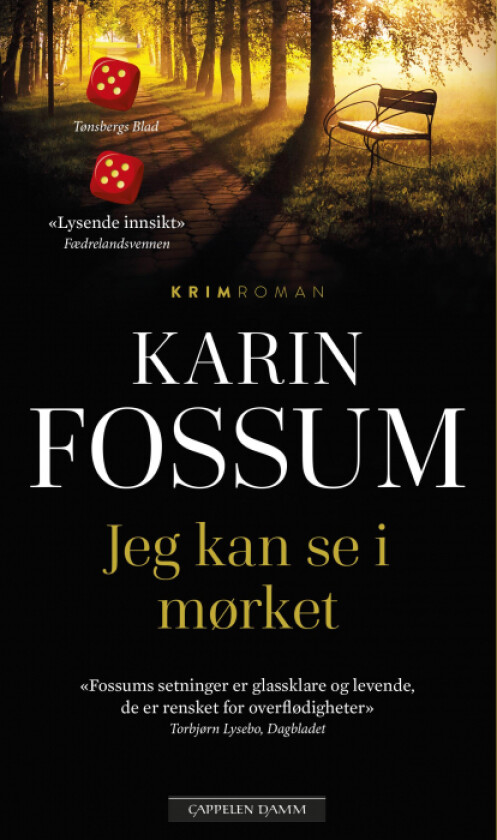 Jeg kan se i mørket av Karin Fossum