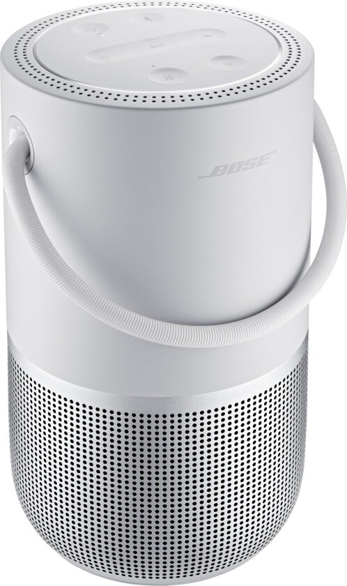 Portable Home Speaker - Luxe Silver