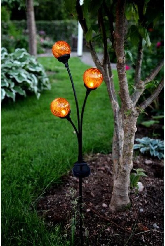 Solcelle dekorasjon Trieste