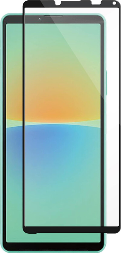 panzer Xperia 10 IV Full-Fit Glass Black