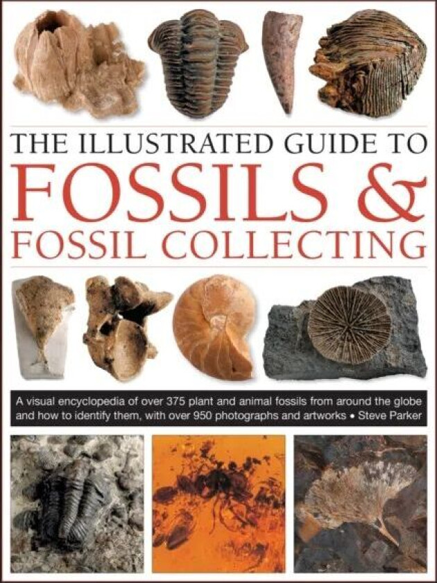 Fossils & Fossil Collecting, The Illustrated Guide to av Steve Parker